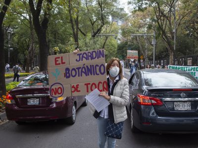 Cultura rechaza afectación del Jardín Botánico por construcción de Pabellón Artístico en Chapultepec