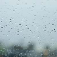 Clima en Neuquén: alerta por lluvias en la cordillera para el domingo y viento para el lunes