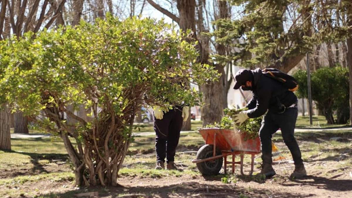 Diversos trabajos realizó Espacios Verdes en la tradicional plaza del barrio Don Bosco de Zapala. Fuente: (Twitter).