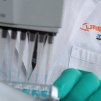 Reportan resultados positivos de vacuna experimental para covid-19 en animales