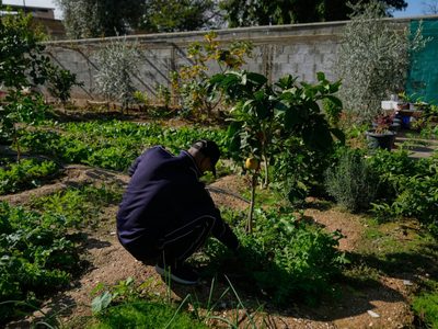 Hamás condena la decisión de Israel de designar zonas de Cisjordania como “propiedad del Estado”