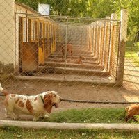 El conductor Leo Montero criticó a Di Tella por la guardería de perros de la ciudad