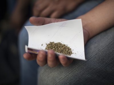 Bonilla busca que el Congreso de BC apruebe el uso lúdico y medicinal de la mariguana