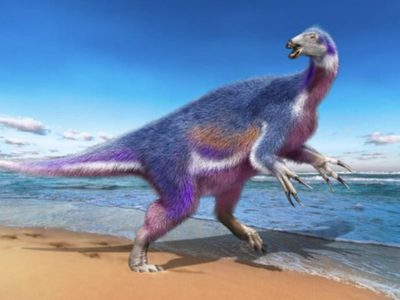 Terizinosaurio, nueva especie de dinosaurio con temibles garras hallada en Japón
