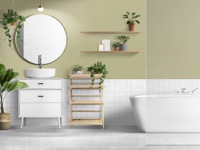 La planta que tenés que poner en el baño si querés mejorar tu economía y atraer la abundancia