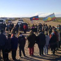 La comunidad indígena pide a los mestizos que respondan "soy mapuche" en el Censo 2022