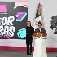 Infodemia admite error al calificar como falso el video de una mujer en ventana de Palacio Nacional