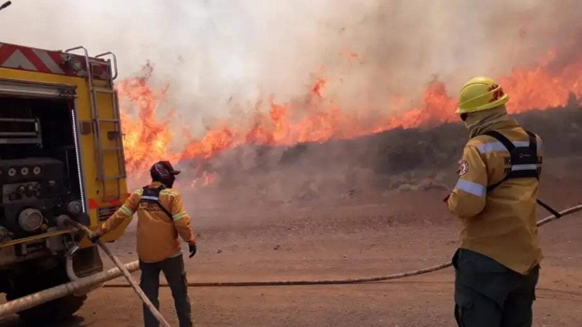 Las autoridades insistieron en respetar las medidas de prevención de incendios. Fuente (Diario Río Negro).
