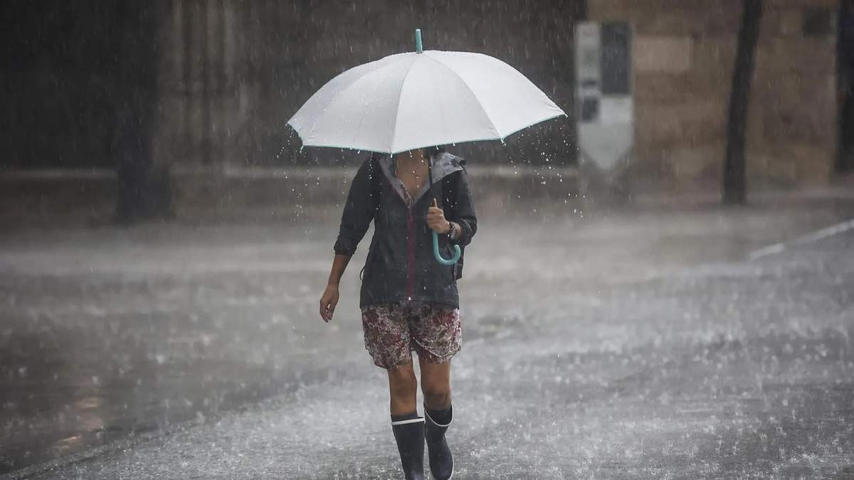 Lluvias. Fuente: (X)