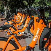 Ecobici: el Gobierno porteño busca cobrar por su servicio