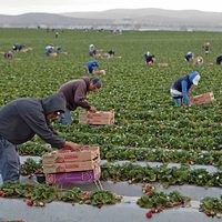 En el limbo, millones de indocumentados: A contrarreloj, los proyectos sobre migración