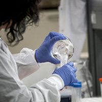 Científicos argentinos descubren un nuevo tratamiento contra el coronavirus