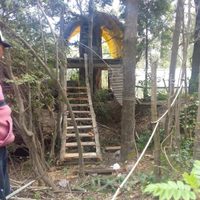Una biblioteca mágica, única en el mundo y en medio del bosque en Villa La Angostura