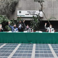 Diputados avalan designación de Elvira Concheiro en la Tesorería de la Federación