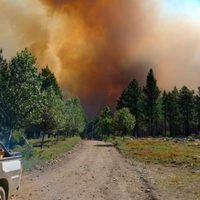 Los incendios siguen golpeando a Tierra del Fuego y hay focos en una decena de provincias