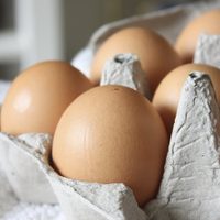 Nunca más tires los maples de huevos vacíos: creá esta hermosa deco para regalar en Pascuas en minutos y sin gastar