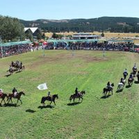 Atención: suspenden dos fiestas populares de Neuquén
