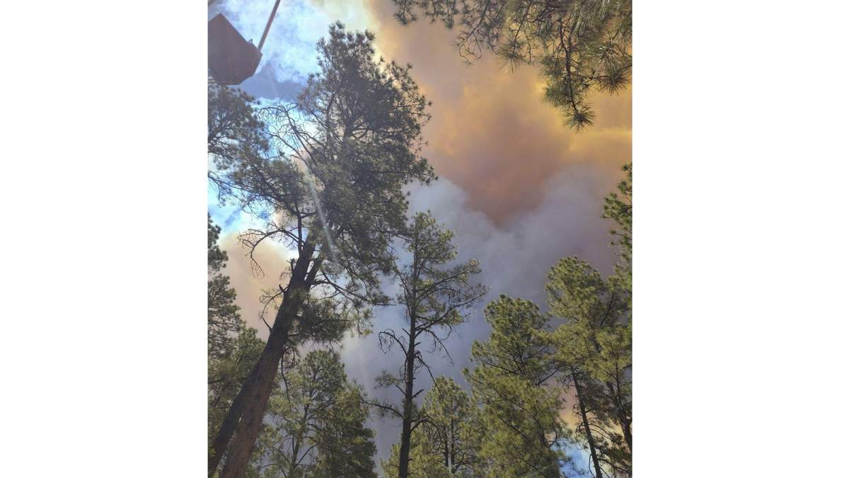 El humo de un incendio se eleva por encima de los árboles en Ruidoso, Nuevo México