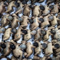 Piden en El Salvador nueva prórroga al estado de excepción contra las pandillas