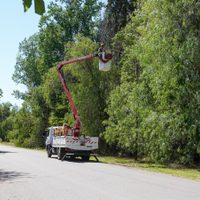 Otro intendente en apuros por una licitación de luces LED