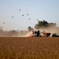 Vuelven las retenciones al campo: en solo 3 días se agotó el cupo de USD 7.000 millones con liquidación al 0 %