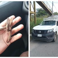 Asaltos, ponchallantas y quema de vehículos en jornada violenta en Tabasco