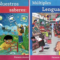 Juez frena reparto de libros de texto en el Edomex