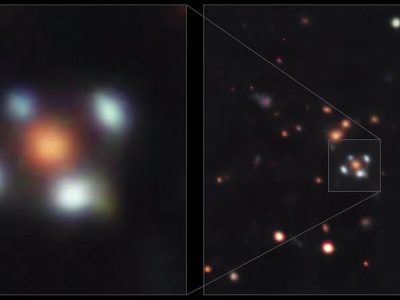 Una flor de cuatro pétalos vista en el espacio