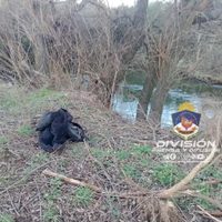 La policía detuvo a un hombre luego de robar en una vivienda de San Martín de los Andes