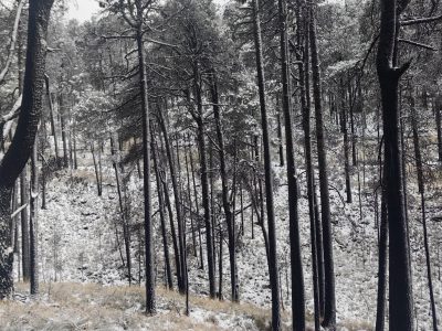 Alertan por nevadas, lluvias y vientos ante la entrada del frente frío #35