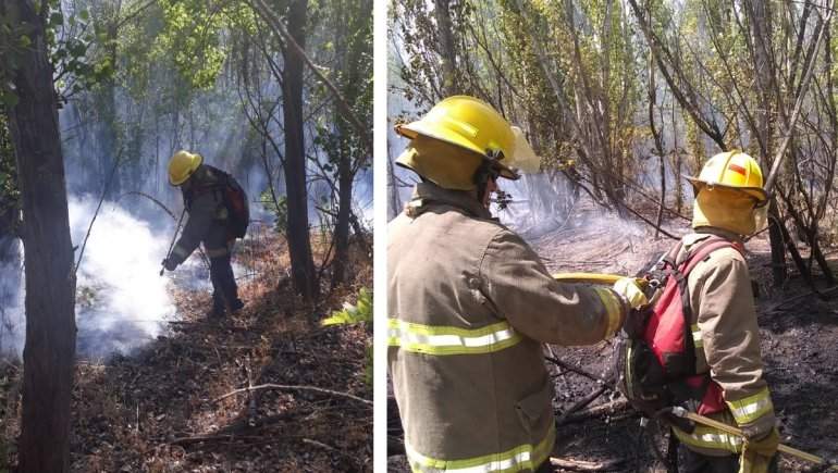 Controlaron el incendio en la isla del río Limay Fuente: (Twitter)
