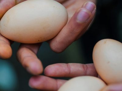 Así se hacen los huevos a la flamenca con jamón crujiente: un clásico fácil, rápido y sabroso para sorprender en la cena