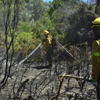 Combaten incendios en una zona de muy difícil acceso en el sur de Bariloche