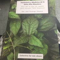 "Herbolaria y Medicina de la Selva Alta Mazateca"