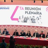 Reforma electoral será legitimada por la voz del pueblo, dice Rosa Icela Rodríguez