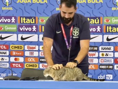 Por arrojar a gato, Confederación Brasileña de Futbol fue demandada; exigen multa