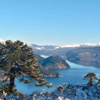 El lago escondido de Neuquén donde la paz y la naturaleza se mezclan a la perfección: descubrí cómo llegar