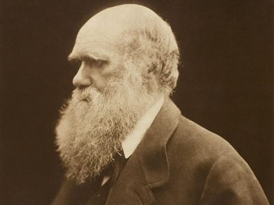Charles Darwin nació hace 216 años. Ocho citas que definen su figura