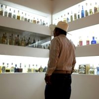 Investigadores de la UNAM desarrollan técnicas para garantizar la autenticidad del tequila