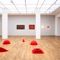 ¿Colonialismo curatorial?