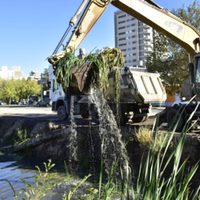 Neuquén Capital: uno a uno, limpiarán los 45 canales de la ciudad