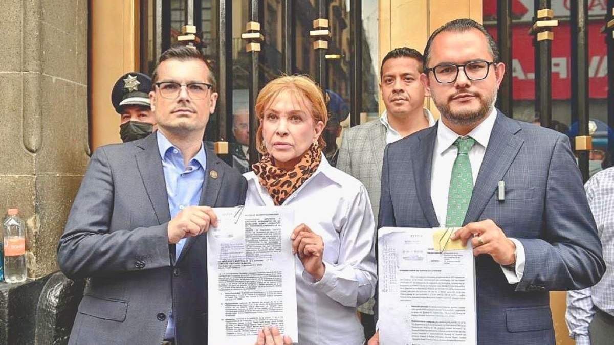Diputados y senadores presentaron las acciones de inconstitucionalidad