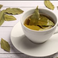 Cómo hacer la infusión de laurel y disfrutar sus beneficios digestivos, diuréticos y antiinflamatorios