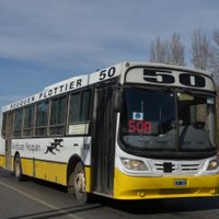 El Consejo Deliberante definió qué pasará con los colectivos en Plottier