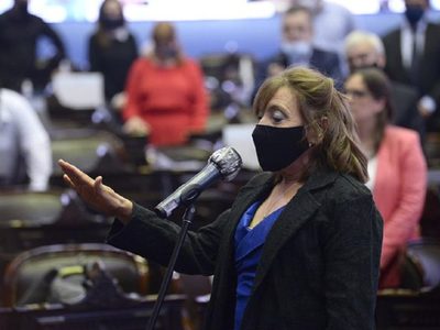 Diputados: tras el escándalo, asumió Alcira Figueroa en reemplazo de Juan Ameri