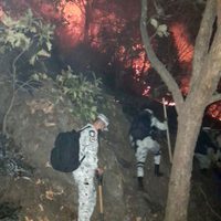 Incendio en Tepoztlán consume 80 hectáreas de bosque