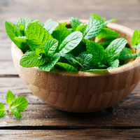La forma de reproducir la menta por esquejes y tener hojas por siempre para preparar tragos y cocinar