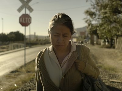 Triunfa "Sin señas particulares" en los premios de cine Ariel