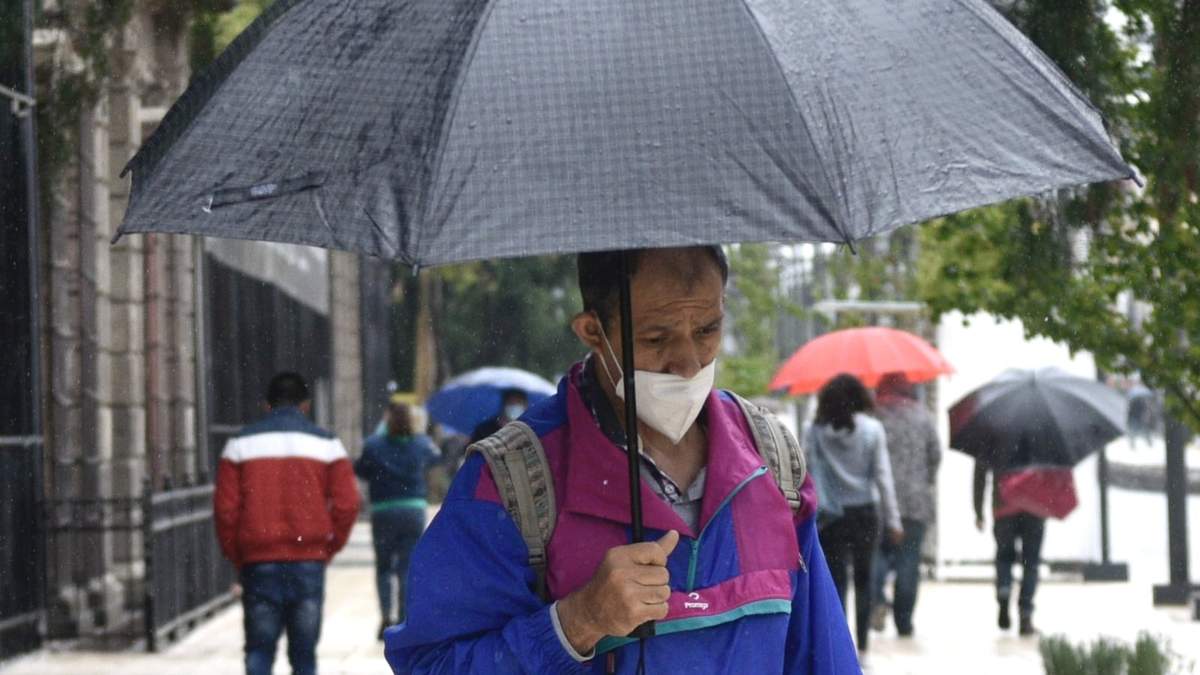 Sombrillas para el calor o la lluvia
