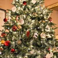 Creá este fantástico árbol de Navidad sin gastar fortuna y con algo que seguro tenés en casa